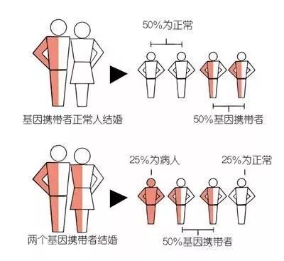 微信图片_20190522082701.jpg