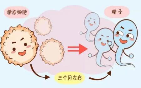 深圳做第三代试管婴儿要准备多少钱（附费用及成功率分享）